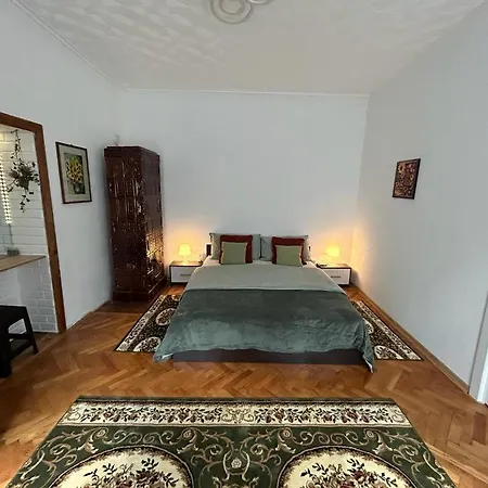 Guest House Rusu Brasov Exterior photo