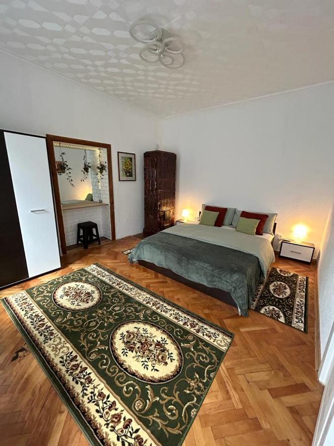 Rusu Apartment *
