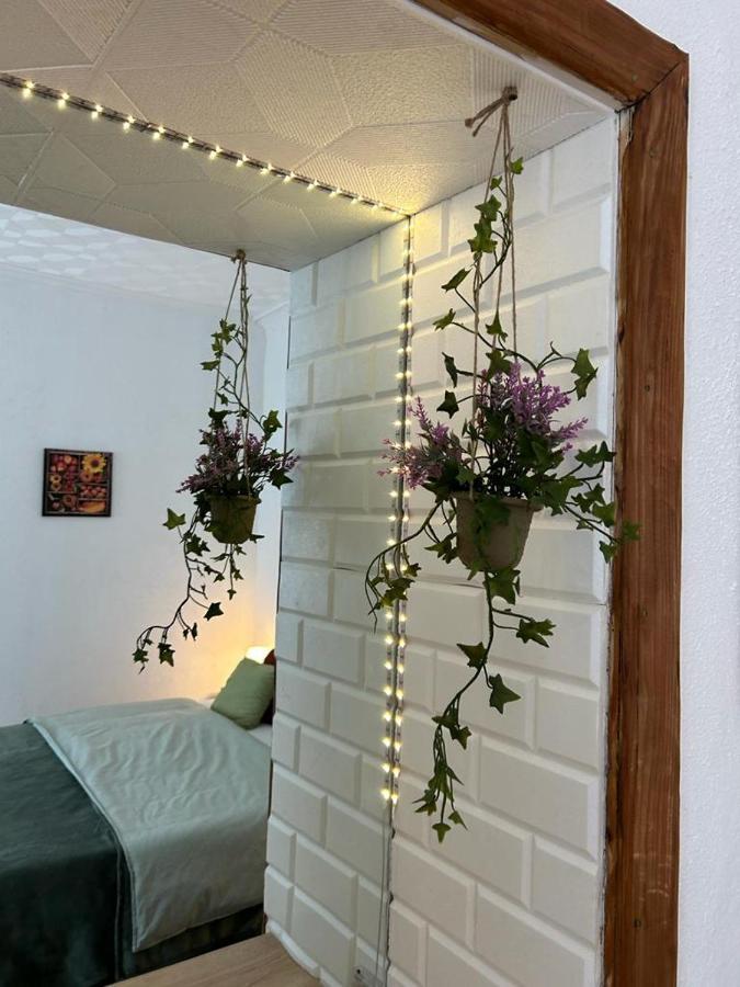Rusu Apartment