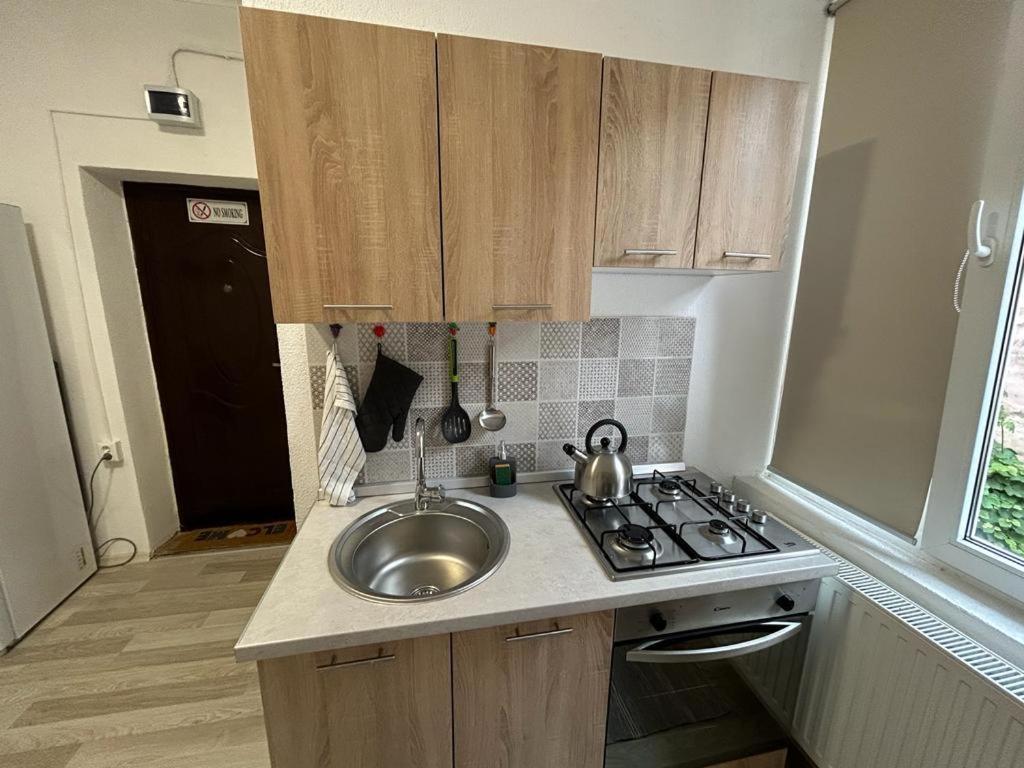 Rusu Apartment *